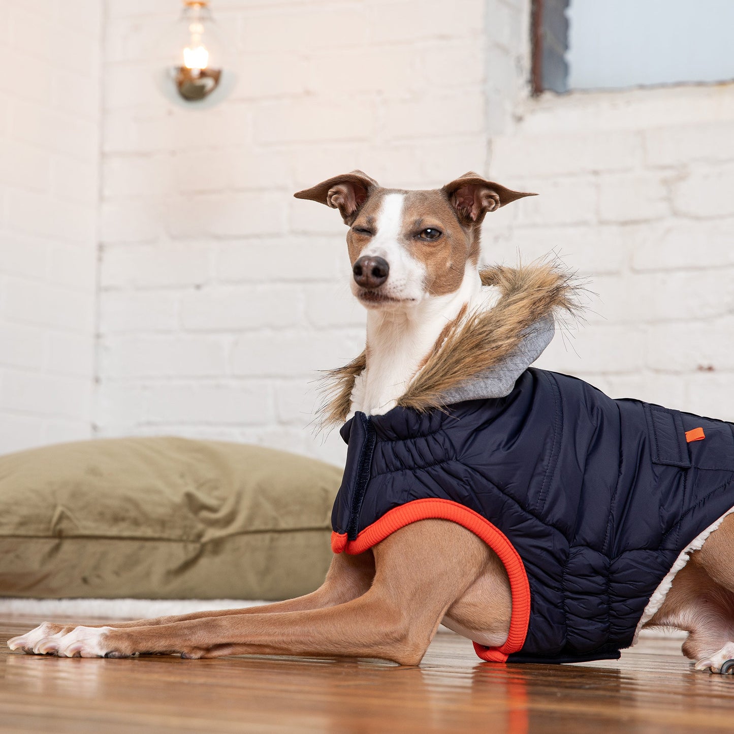 Alpine Trail Dog Parka - Navy