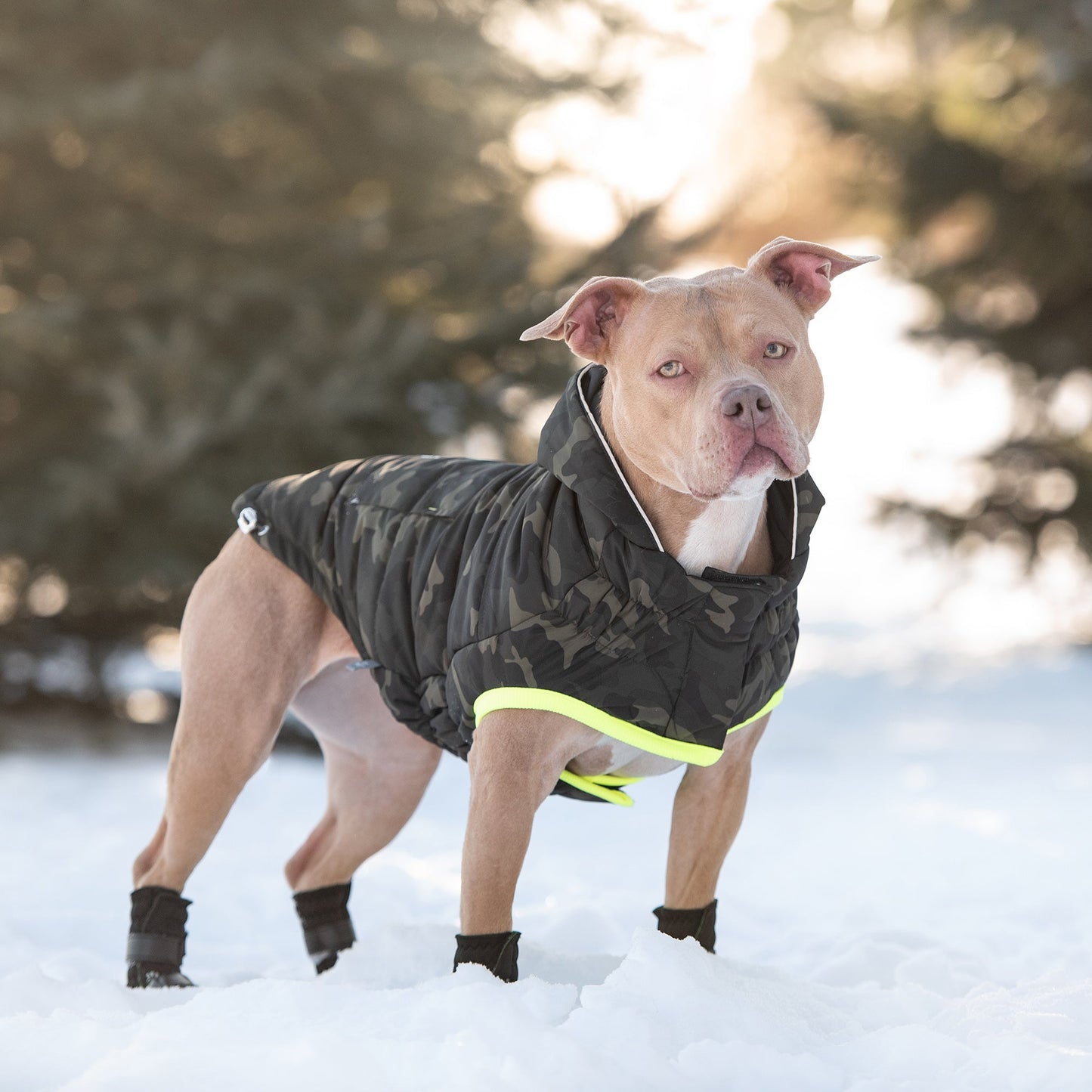 Eco-Trail Recycled Dog Parka - Camouflage