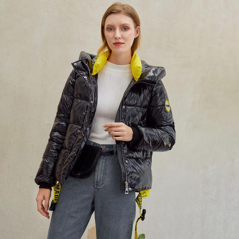 Alpine Radiance Puffer