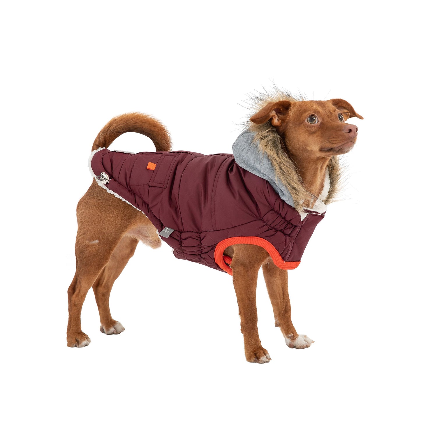 Alpine Trail Dog Parka - Burgundy