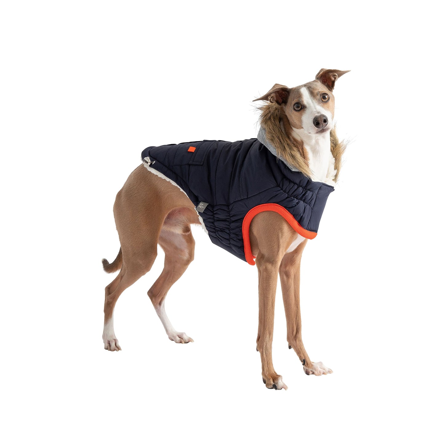 Alpine Trail Dog Parka - Navy