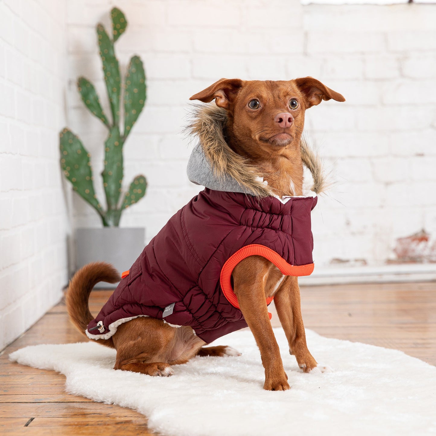 Alpine Trail Dog Parka - Burgundy