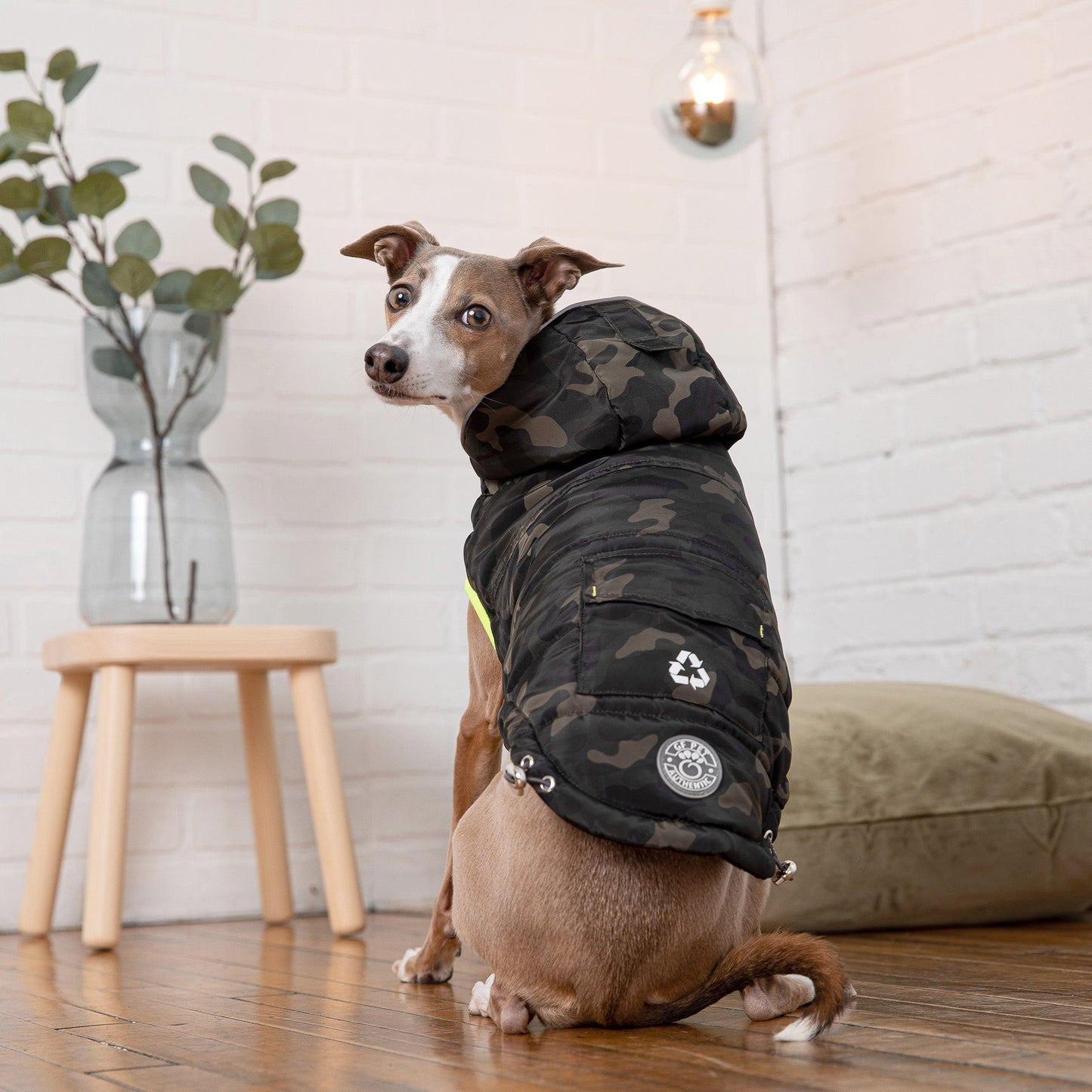 Eco-Trail Recycled Dog Parka - Camouflage