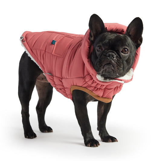 The Puff Dog Parka - Pink