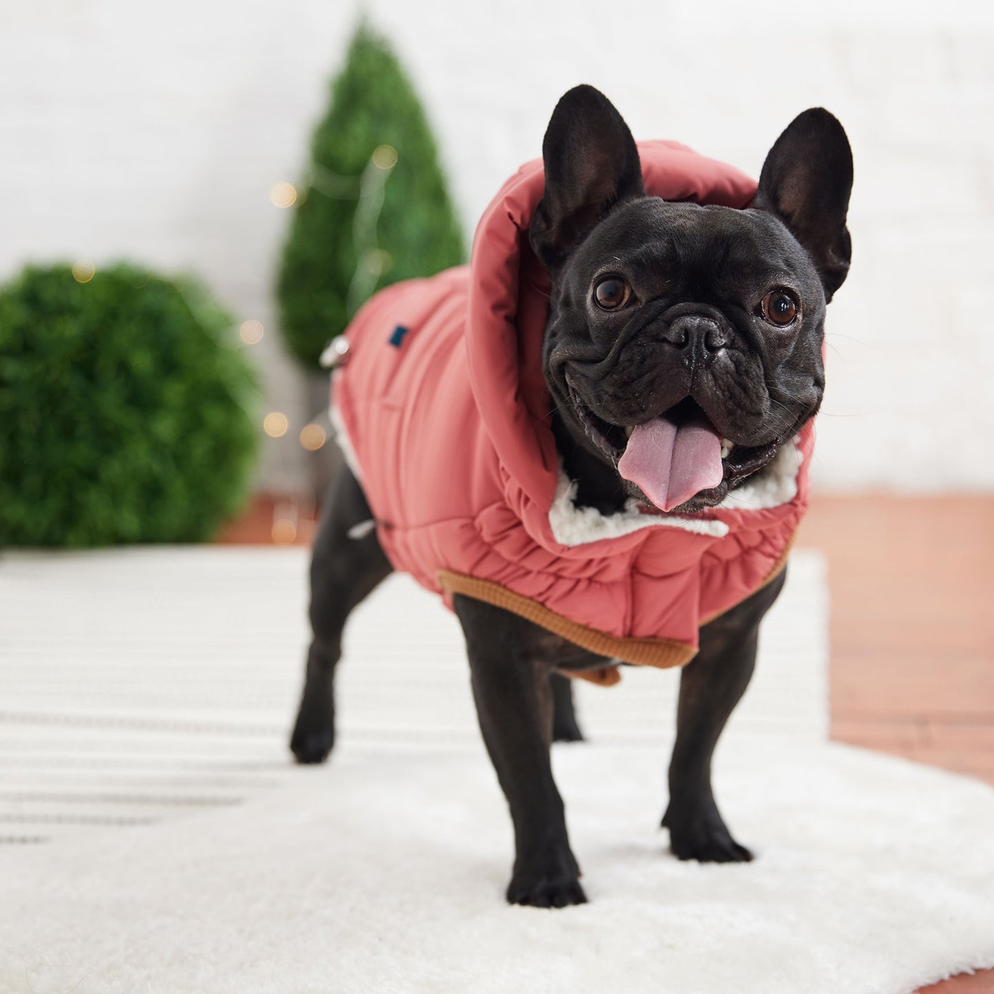 The Puff Dog Parka - Pink