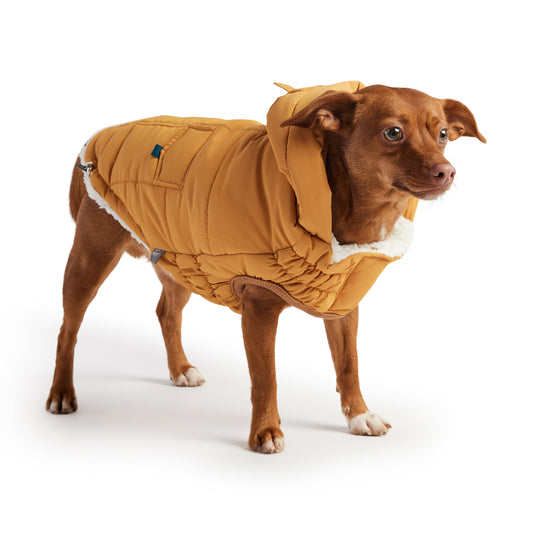 The Puff Dog Parka - Yellow